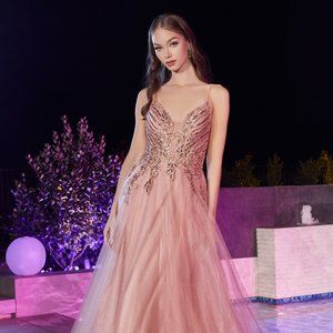Enchanting Lace and Tulle Masterpiece: Cinderella Divine CD874 for Unforgettable Occasions